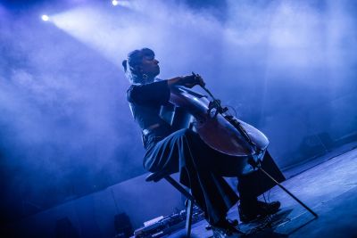 Bosse & Maia beim ZMF Freiburg