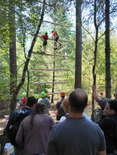 Tag der offenen Tür im WALDWERK Höfle begeistert Groß und Klein