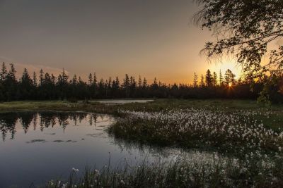 Wildsee Impressionen von der Leiterin des Infozentrums Kaltenbronn Kristina Schreier und Pit Buchter
