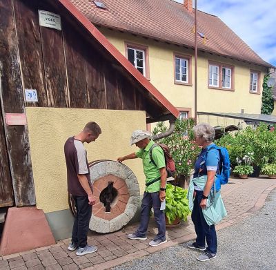 Mühlenwanderung in Ettenheim am Deutschen Mühlentag