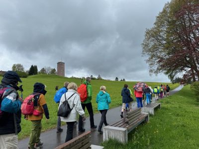 Wanderopening startet mit Nieselregen auf dem Dobel