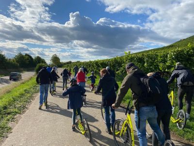 Die Weingeschichtliche Tretroller Wanderung „Römer Reben Roller“