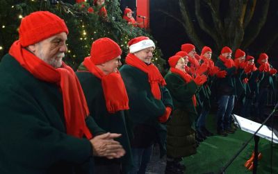 Solch ein zehntägiges Fest ist nur mit Hilfe vieler Personen möglich, die alle für den Stadtfestverein Waldkirch e.V. an einem Strange ziehen.