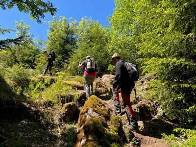Abwechslungsreich und vielfältig sind die Wandertouren im Albtal