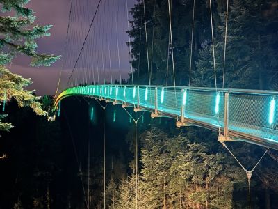 Die WildLine in Bad Wildbad bei Nacht
